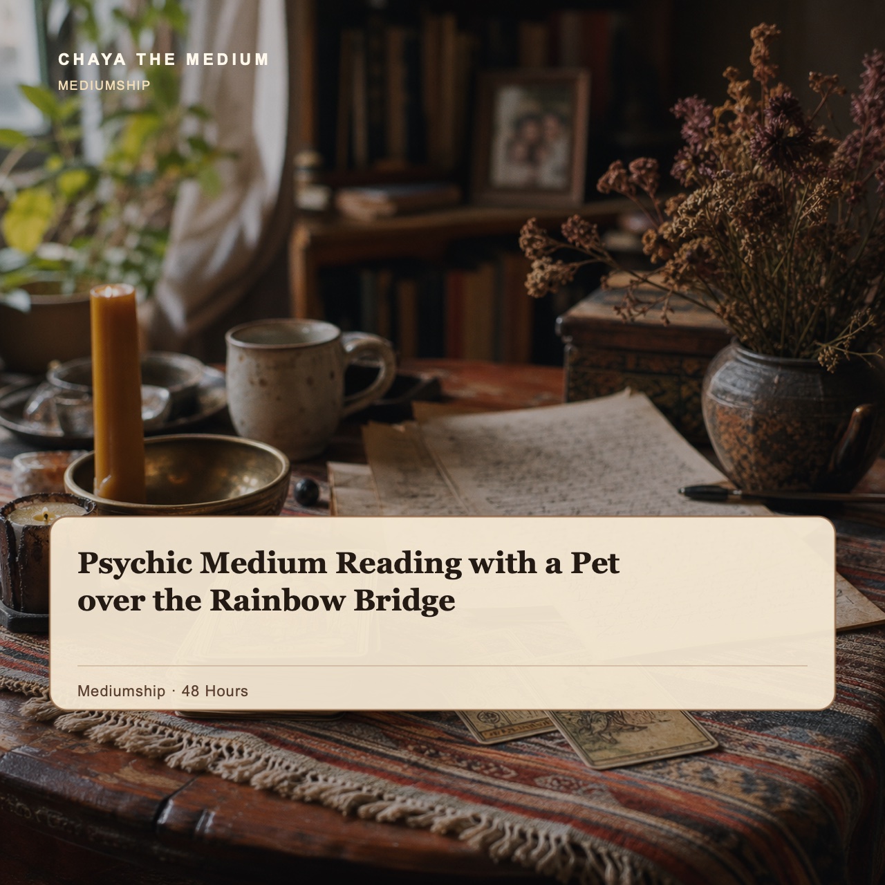 Psychic Medium Reading with a Pet over the Rainbow Bridge
